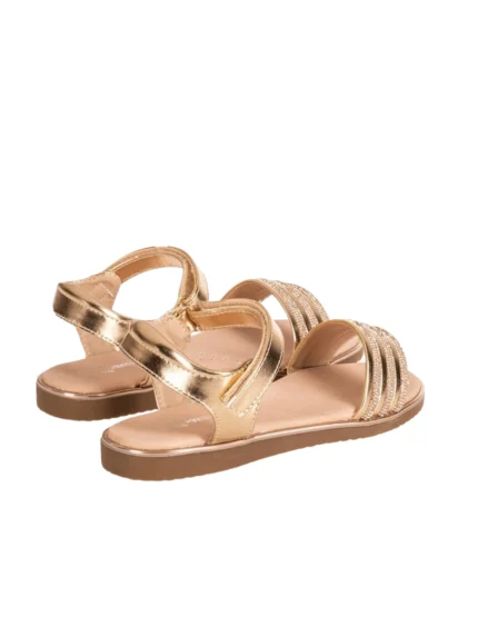 zak SD12238 bronze 2